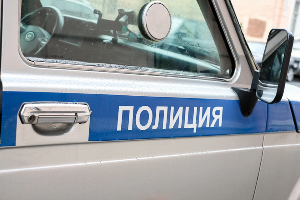 Буйного мигранта с кувалдой, который вломился в храм в Петергофе, пришлось усмирять полицейским.