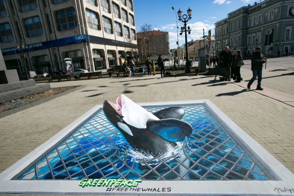 Графити в Москве. Фото предоставлено Greenpeace