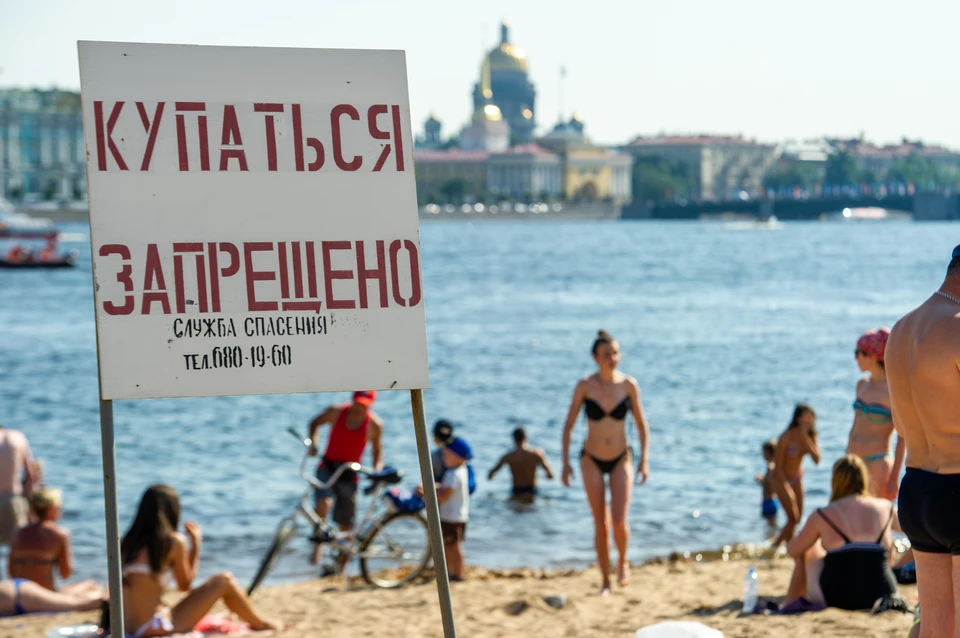 Качество воды на петербургских пляжах не радует.