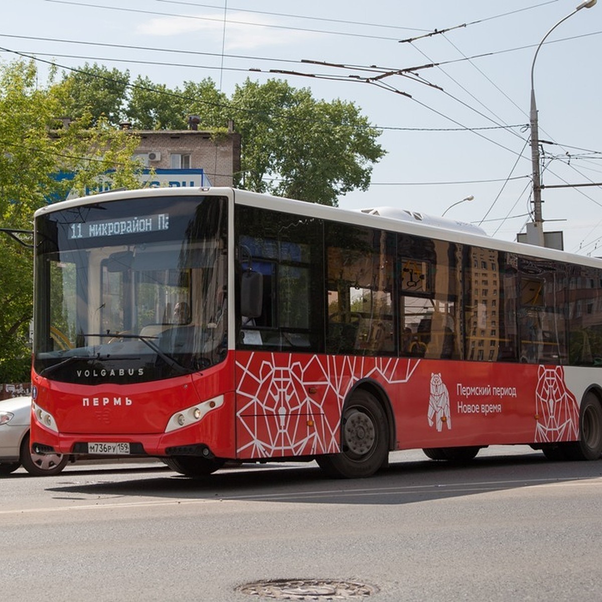 Новая маршрутная сеть 2019 в Перми: изменение маршрутов автобусов и  трамваев, список маршрутов - KP.RU