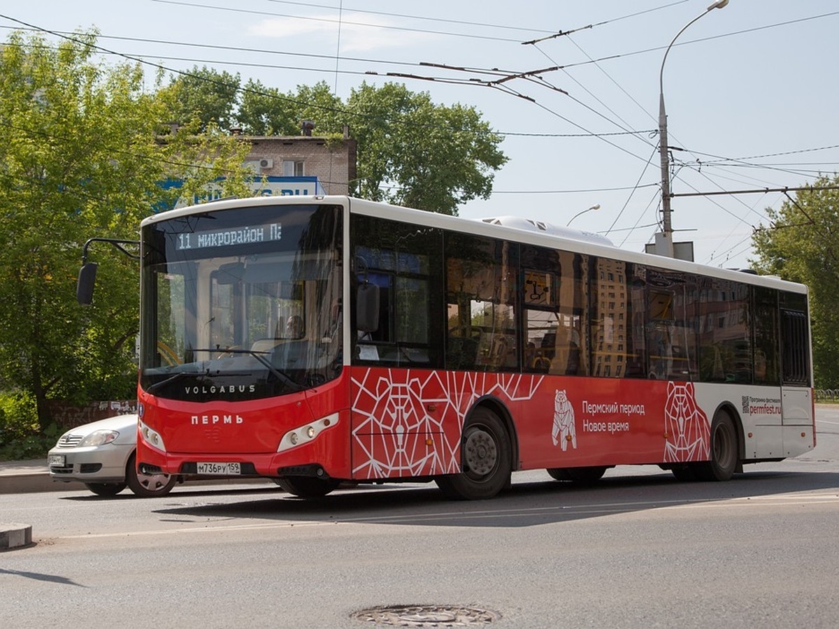 Новая маршрутная сеть 2019 в Перми: изменение маршрутов автобусов и  трамваев, список маршрутов - KP.RU