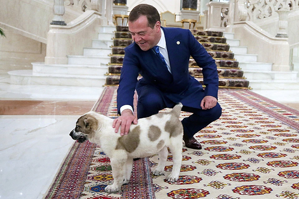 Когда завтрак закончился, Дмитрия Медведева ждал сюрприз