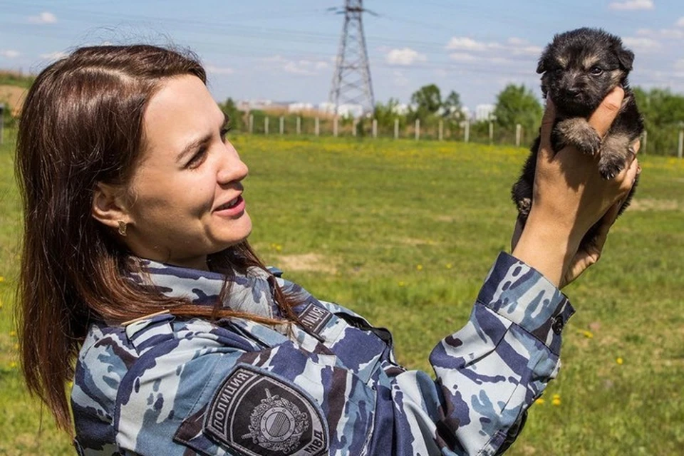 В Красноярске девушки-кинологи выходили найденных на пустыре щенков. Фото пресс-службы краевой полиции