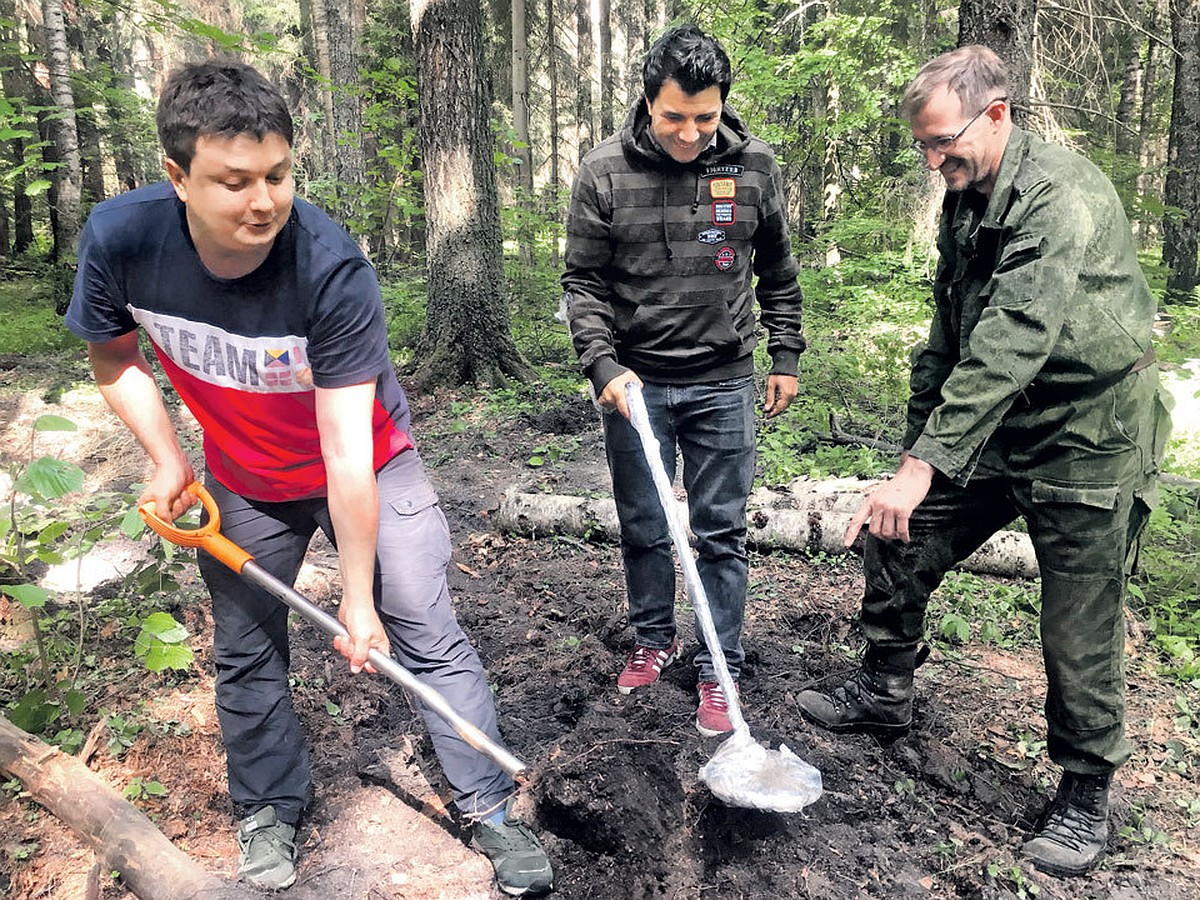 Как мы искали в подмосковном лесу клад графа Орлова - KP.RU