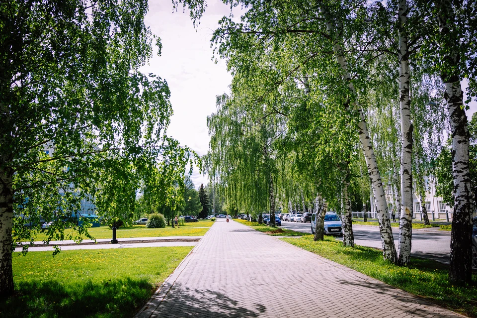 фото: архив редакции