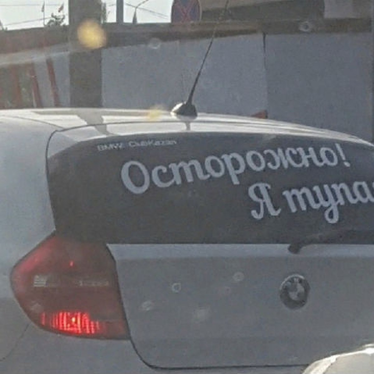 Осторожно! Я тупая!