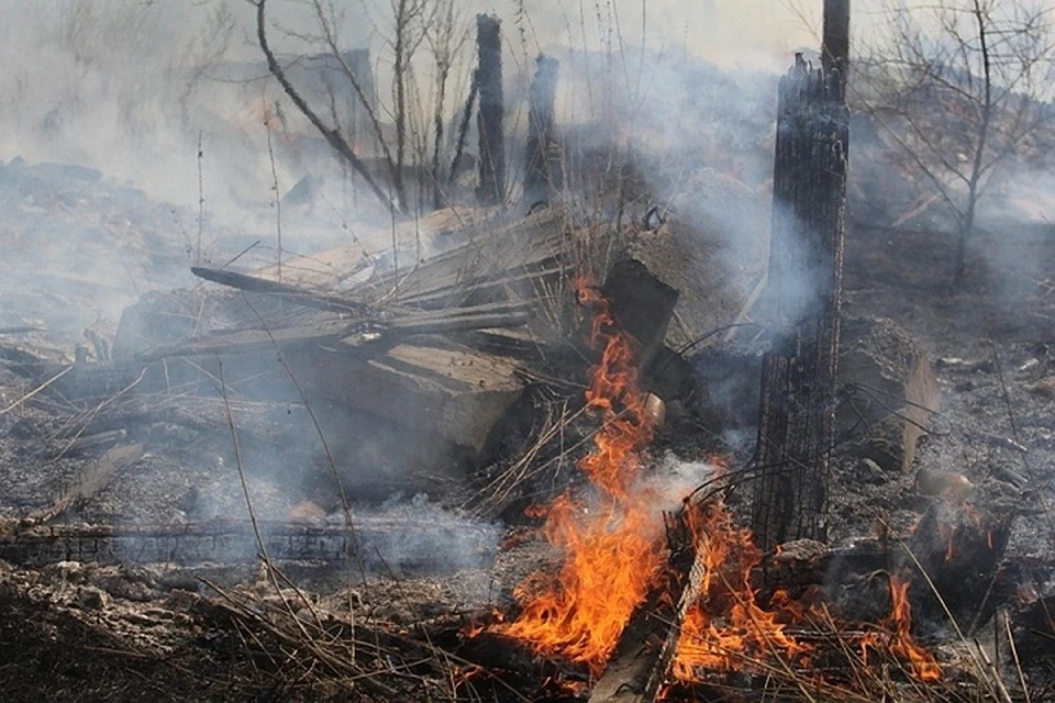 Из-за пожаров в лесах Иркутской области ввели режим ЧС