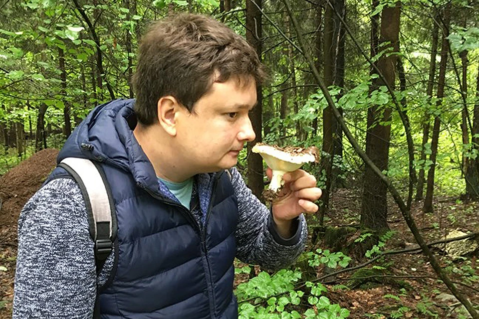Журналист "КП" Павел Клоков изучает очередной найденный гриб.