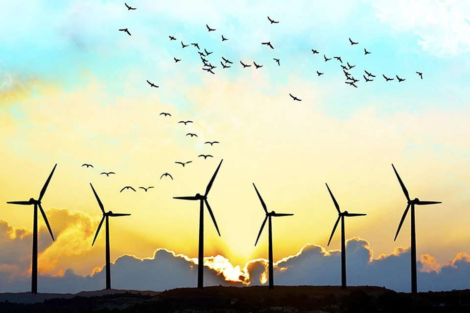 Датская компания European Energy планирует в Литве строить ветряные электростанции. Фото: с сайта linkedin.com