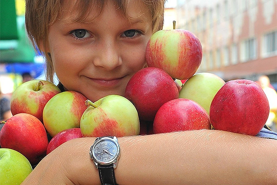 Для проведения эксперимента биологи взяли обычные «магазинные» и органические «домашние» яблоки