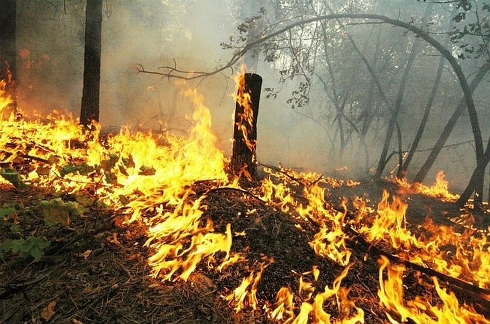 Пожары в Иркутской области: горит более 700 тысяч гектаров тайги