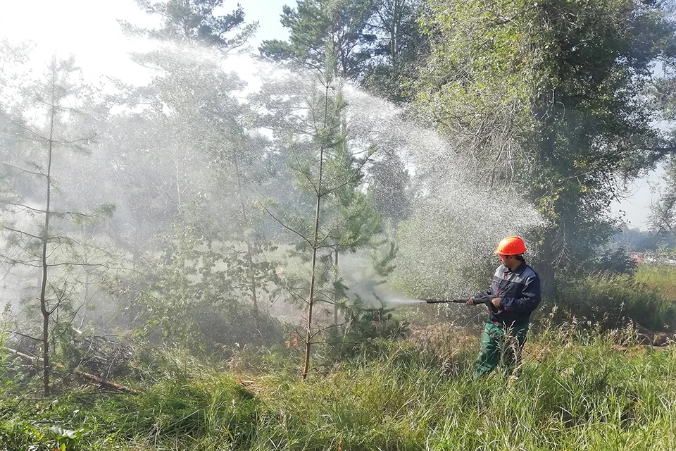 Учения лесных пожарных