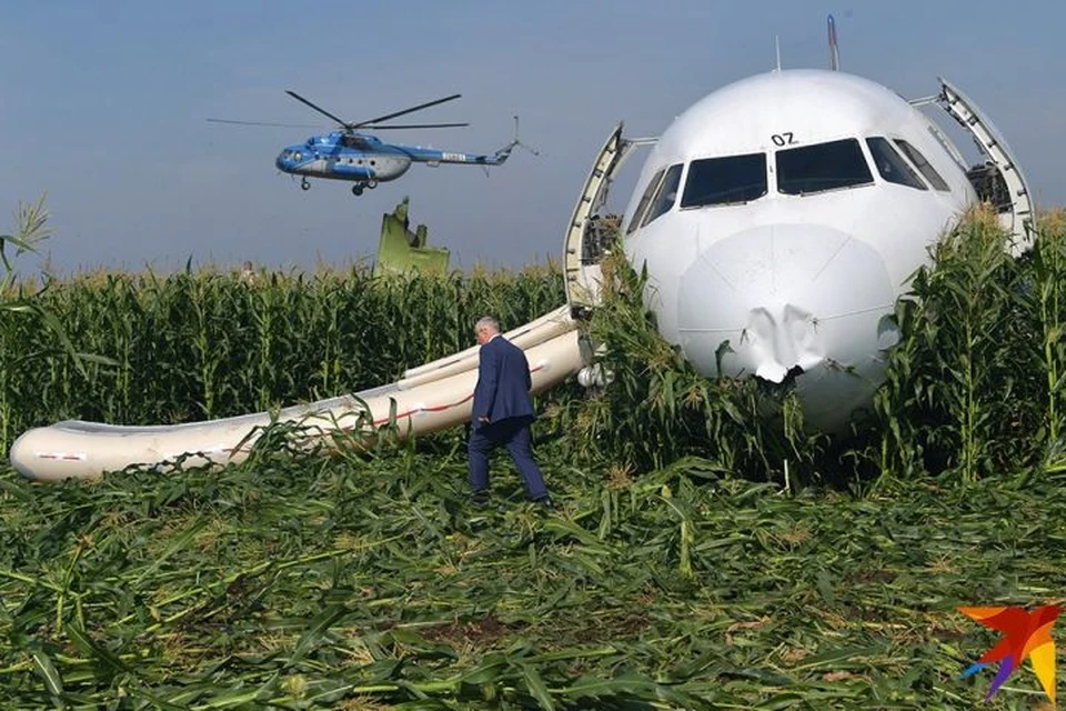 Пилоты смогли посадить судно посреди кукурузного поля, почти без повреждений.