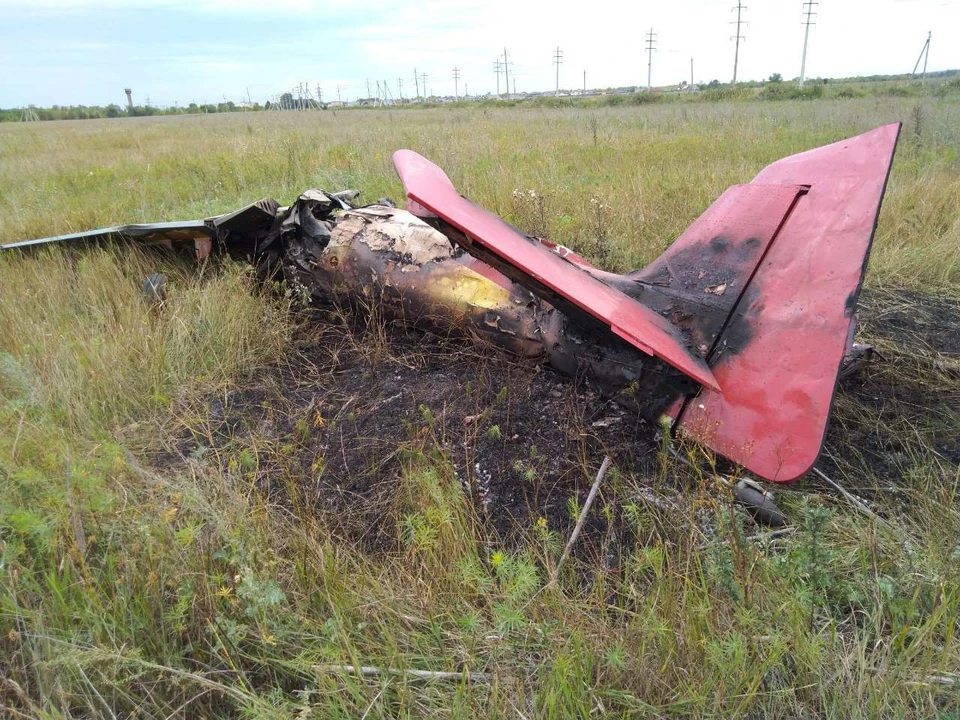 Самолет рухнул прямо в поле. Фото предоставлено МЧС РФ