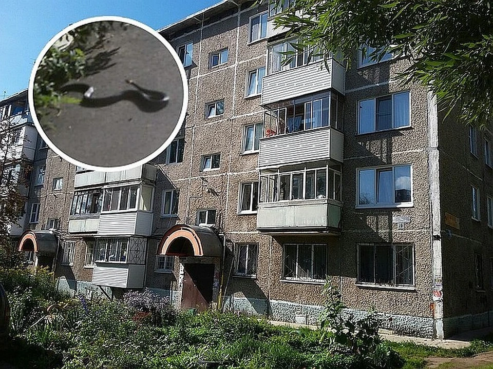 Жильцы дома на Целинной, 19 в Перми всерьез думают о продаже квартир.