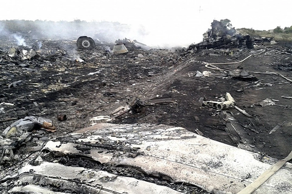 Парламент Голландии потребовал от правительства изучить роль Украины в крушении MH17