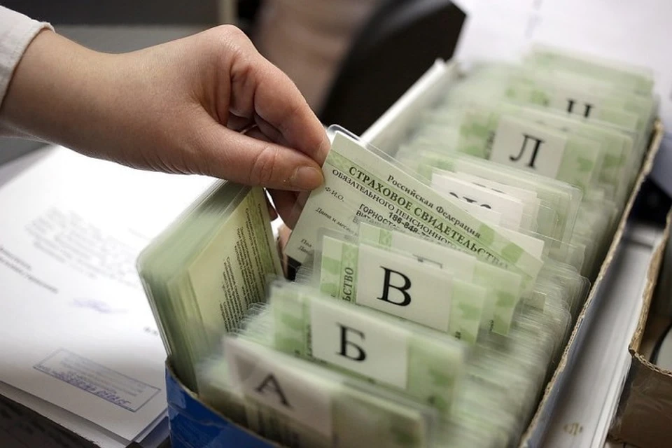 Выдача "зеленых карточек" нового образца в Калининградской области уже началась.
