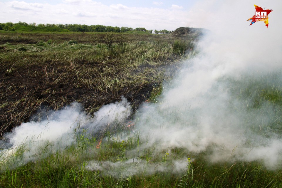 Пожар в поле