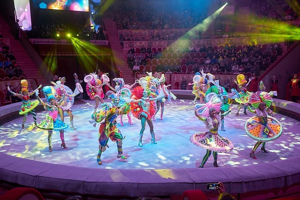 Новый цирк в Санкт-Петербурге пообещали построить до 2022 года.