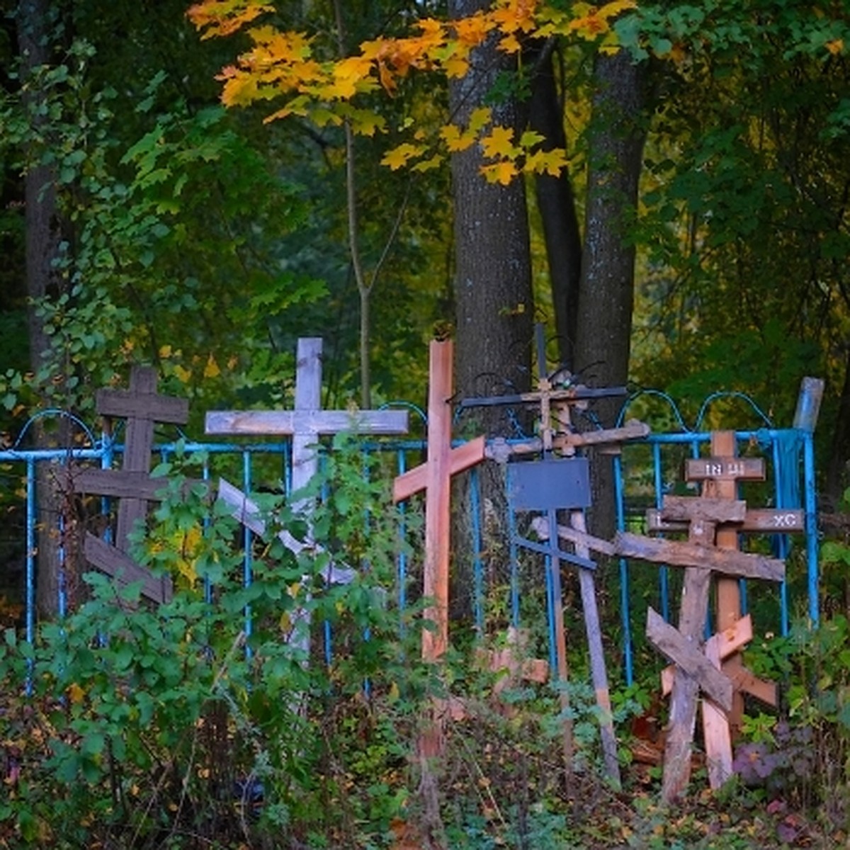 Деревенское кладбище