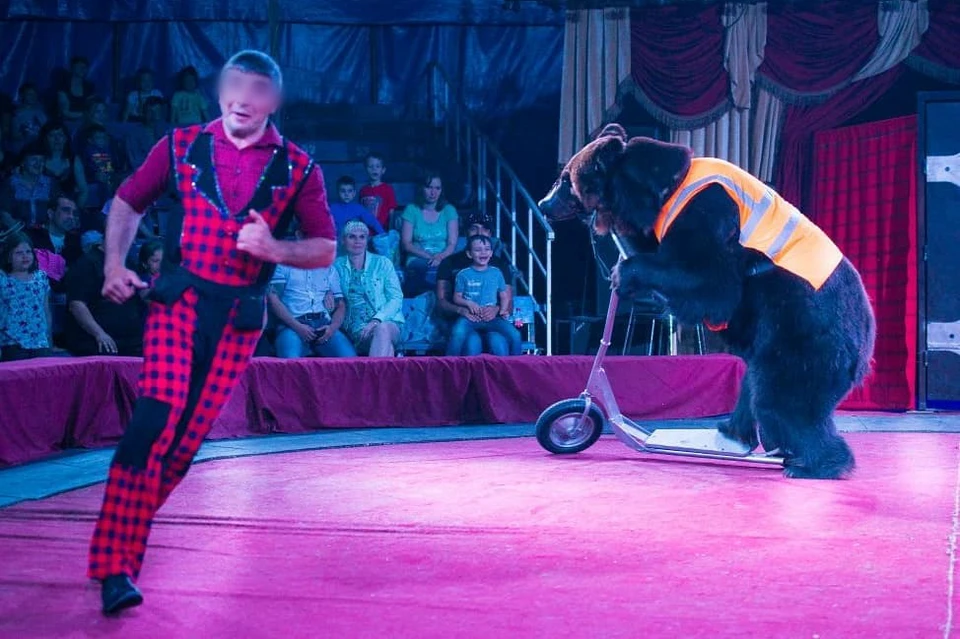 Из цирковой программы опасный номер обещают убрать. Фото: Цирк-шапито «Аншлаг»