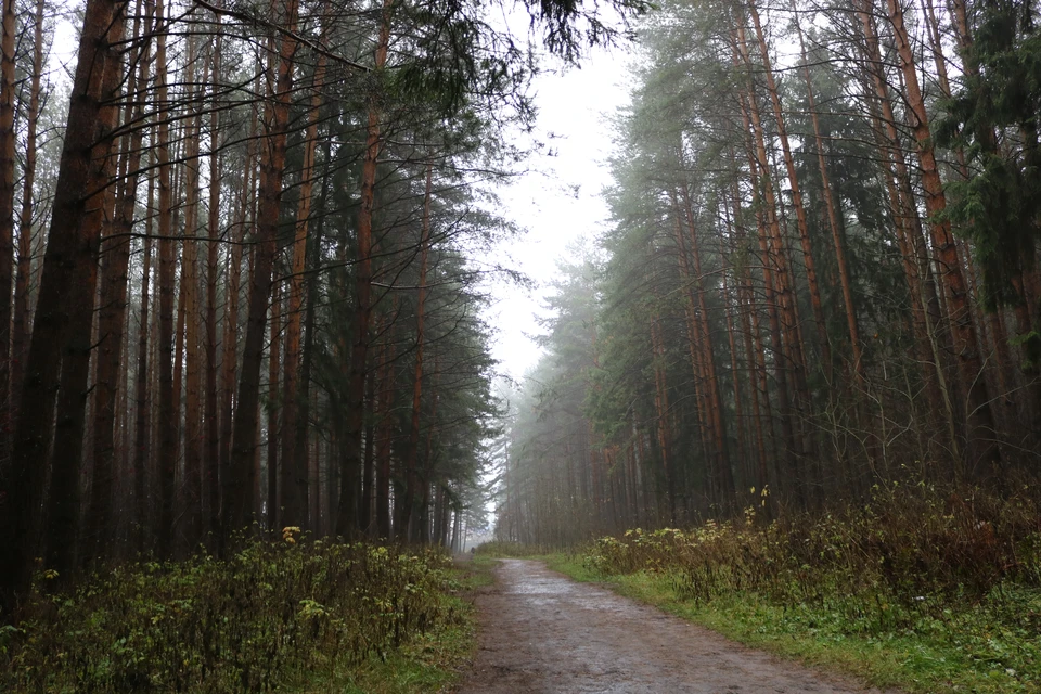 Фото: Д. Кузнецова