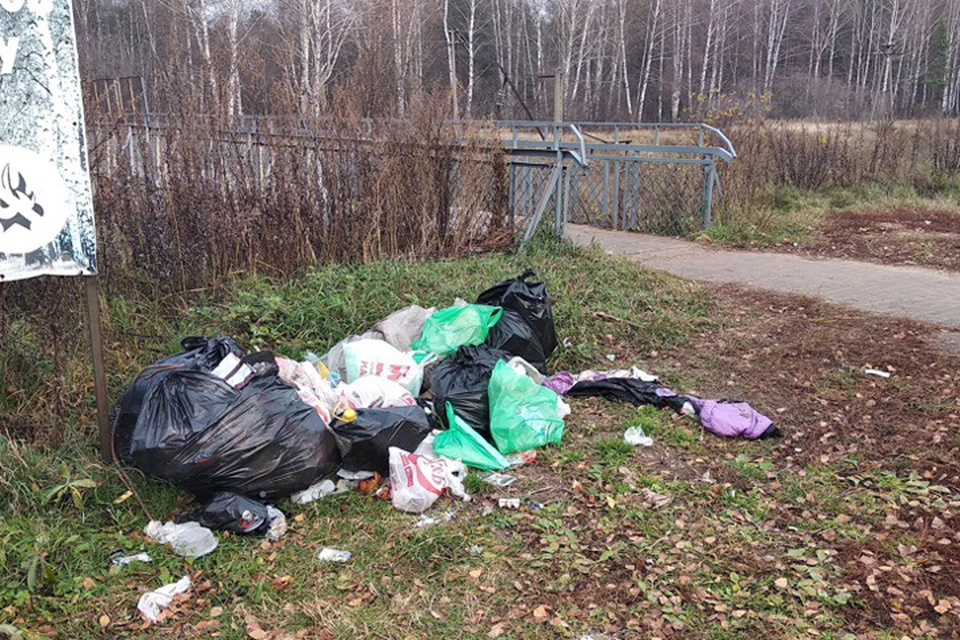 Мусор в лесу под Кстовом убрали после жалоб в соцсетях