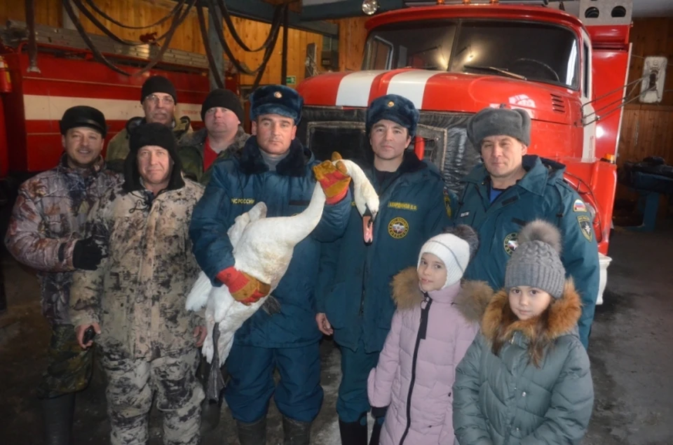В Тобольске спасен лебедь, который мог погибнуть из-за морозов. Фото - ГУ МЧС по Тюменской области.
