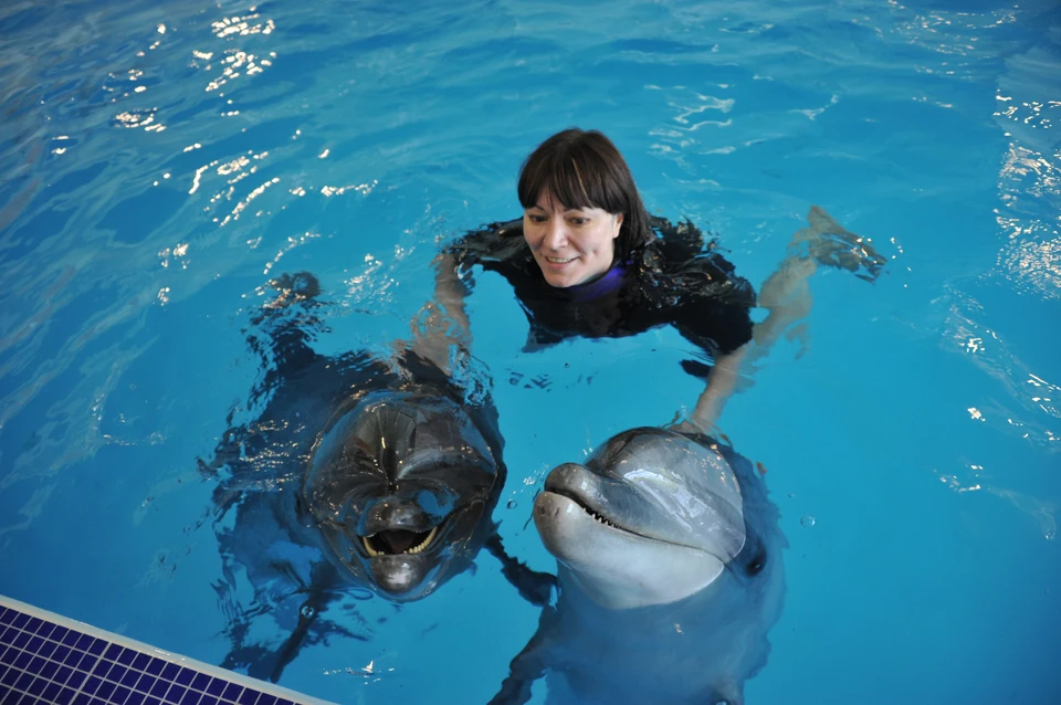 Власти всерьез уверяют, что дельфинарий нужен для больных детей – здесь планируют сделать дельфинотерапию.