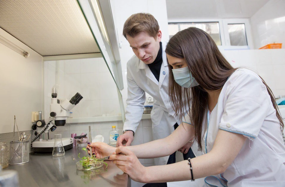Лавр Крюков в лаборатории микроклонального размножения растений