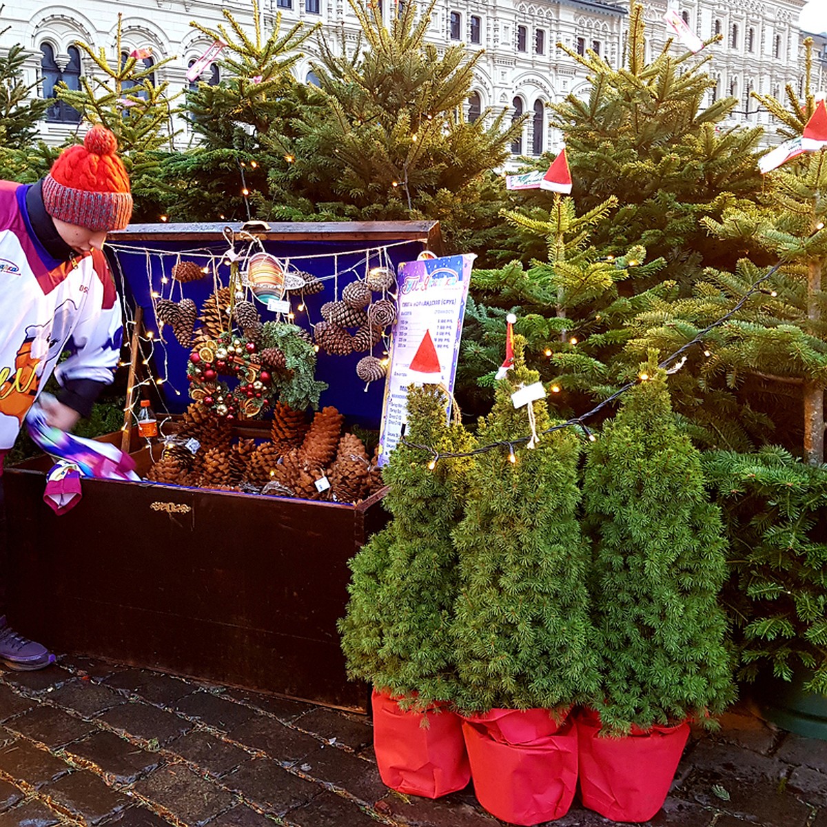 Елочный базар. Ель на рынке в новый год. Елочный базар открыт. Ель живая. Ель живая.