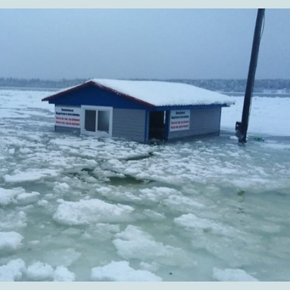 Большая вода идет. Поднявшийся Енисей топит поселок в Красноярском крае -  KP.RU