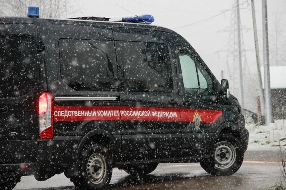 Причины смерти девочки выясняют следователи.
