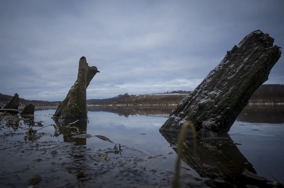 Фото: Олег Золотарев