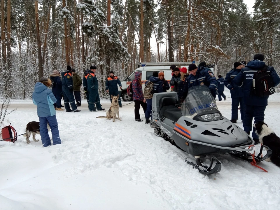 Волонтеры работают совместно с полицией и спасателями