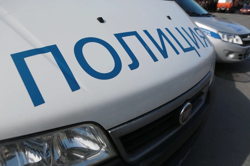 Петербуржец, подозреваемый в попытке похищения девочки в Новой Ладоге, сам пришел в полицию