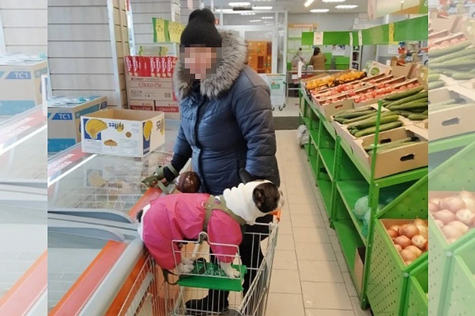 Эту даму с собачкой обсуждают в соцсети. Фото: vk.com/magnitkacity