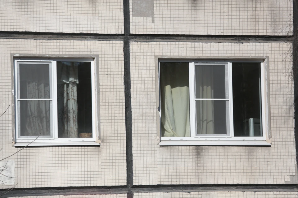 В Ломоносовском районе спасли кота, застрявшего в окне.
