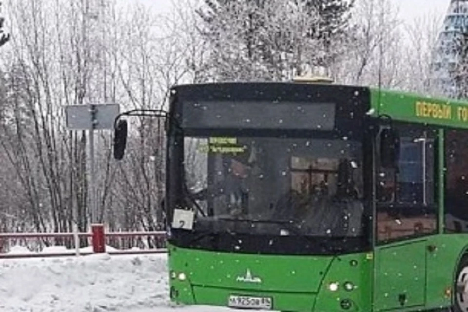 Билет на автобус между Пурпе и Губкинским подешевел в два раза Фото: puradm.ru