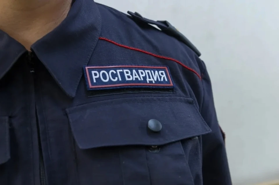 Злоумышленников, ворвавшихся в Дом детского творчества, задержали росгвардейцы.