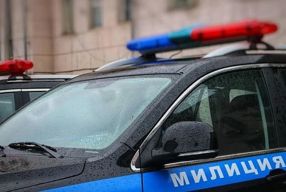 Милиция проверяет информацию о якобы похищении двух девочек.