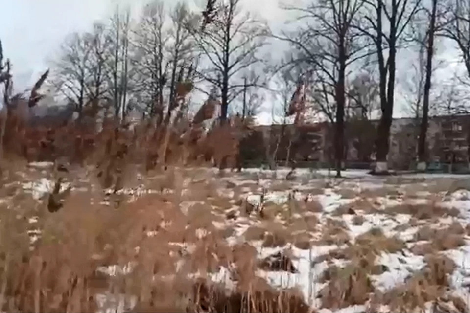 На заболоченном пустыре в Шлиссельбурге две школьницы провалились в ледяную воду. Фото: кадр с видео / vk.com/pavlovo_lo