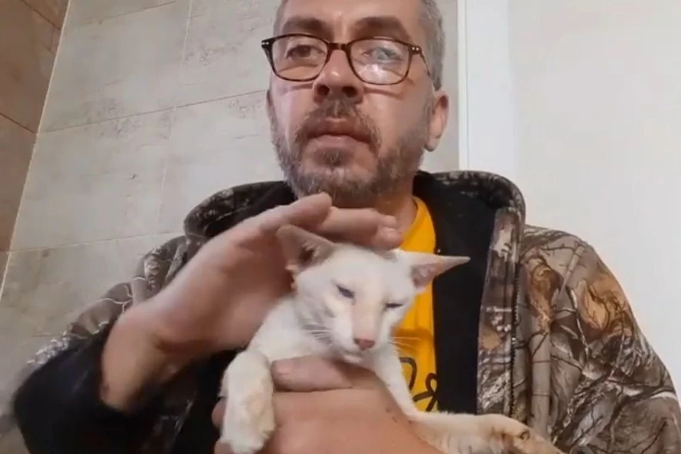 Недавний перелет с кошками для Максима Чумаченко оказался трагическим.