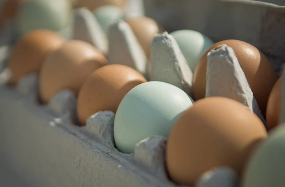Медики назвали продукты для наращивания мышц и сжигания жира