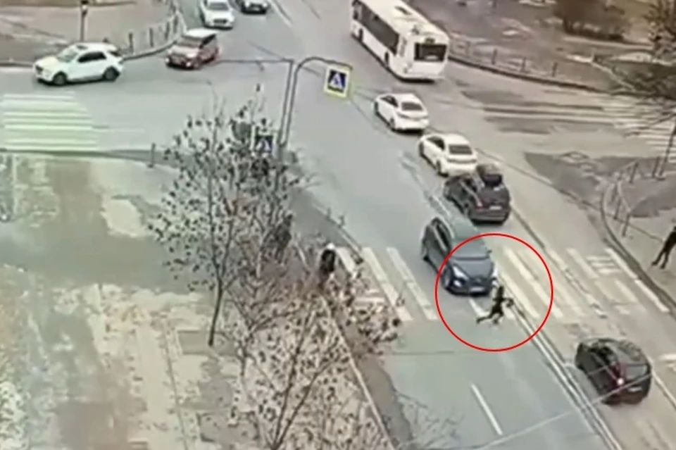 В Колпино иномарка снесла неосмотрительного пешехода, перебегавшего дорогу на красный сигнал светофора. Фото: vk.com/dorinspb