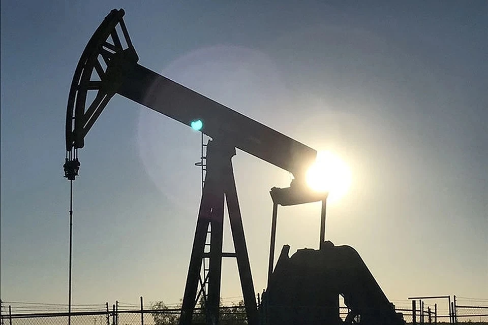 Льготы будут распространяться только на крупные компании