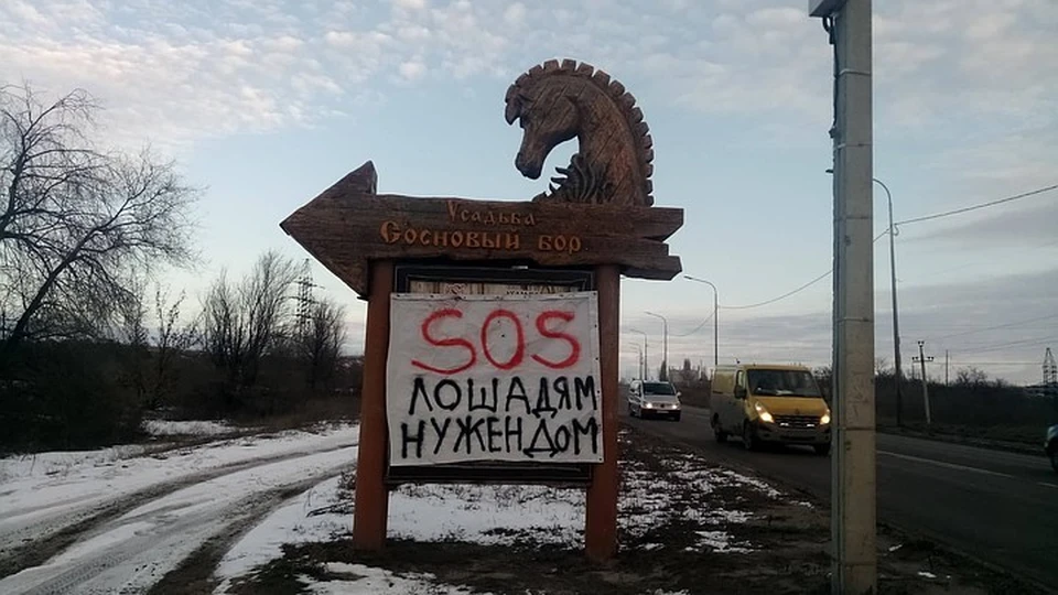 42 лошади могут оказаться на улице.