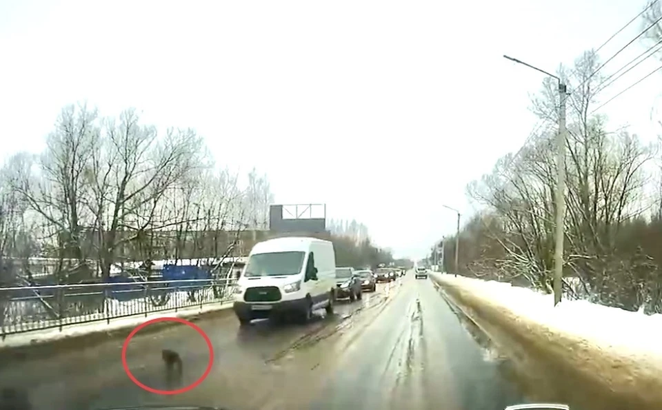 Фото: скриншот с видео автора GURZA QUEST