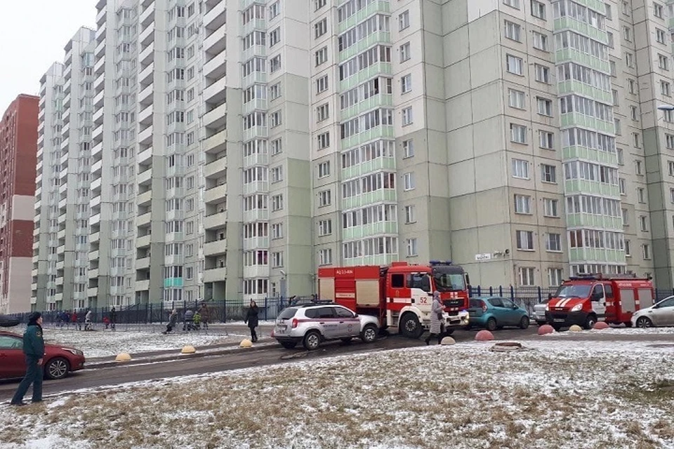 При пожаре в многоэтажке на Бадаева пострадала мать с двумя детьми. Фото: https://vk.com/spb_today