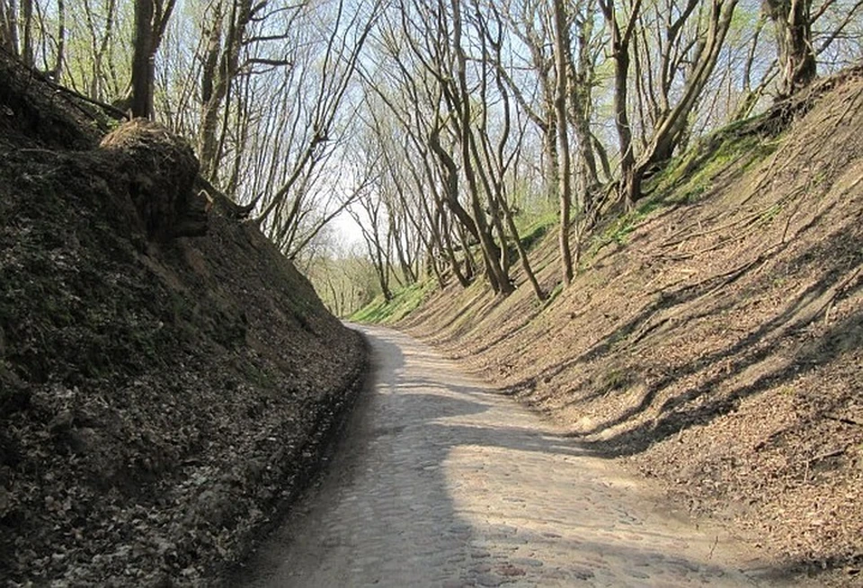 Дорога к замку Бальга.